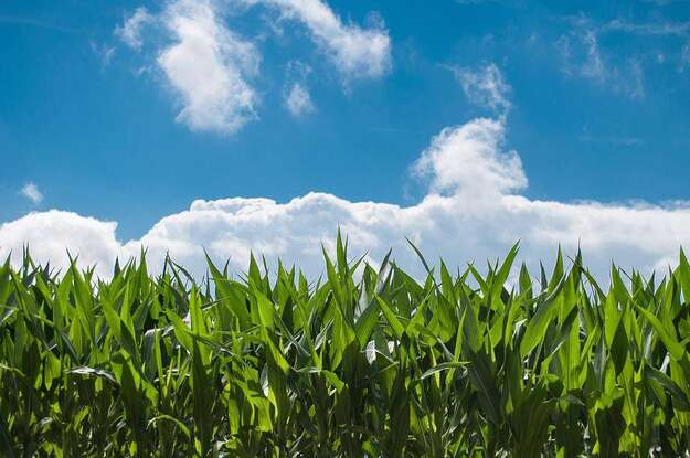 Photo de l'actualit Les saisons en agriculture