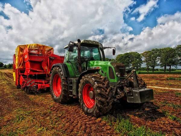 Photo de l'actualit La rcolte de l'herbe