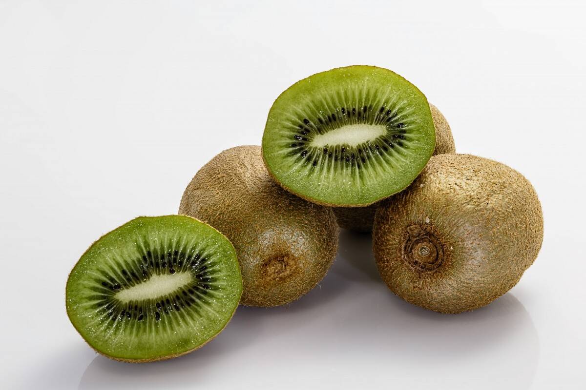 Actualité : La culture du kiwi
