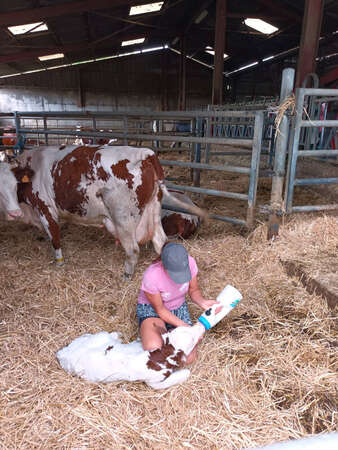 Photo de l'actualit Portrait : Ludivine - Les femmes ont entirement leur place dans le milieu agricole !