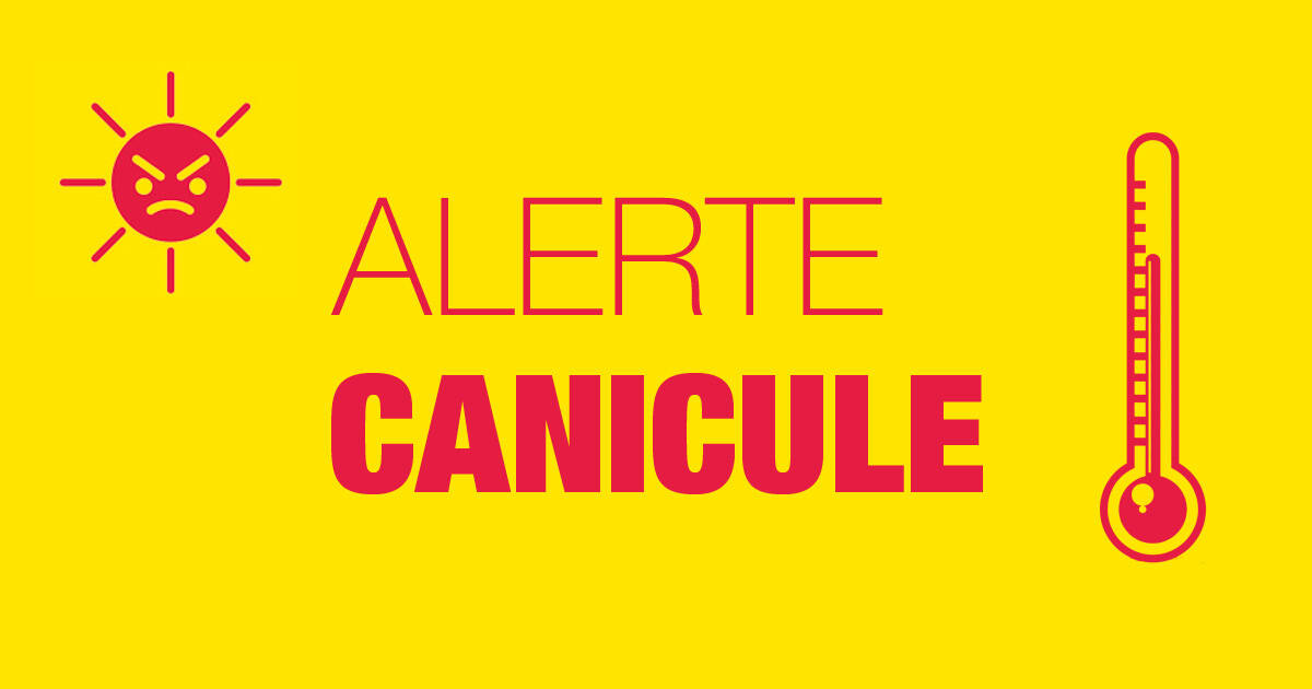 Actualité : recommandations