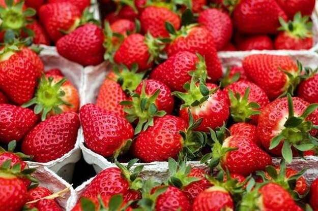 Photo de l'actualité Pleine saison pour les fraises !
