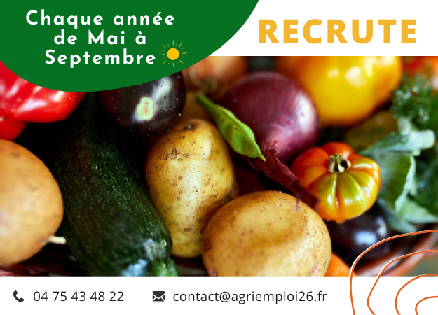 Photo de l'actualité MAI - SEPTEMBRE Ouvriers Maraîchers H/F - Drôme entière (26)