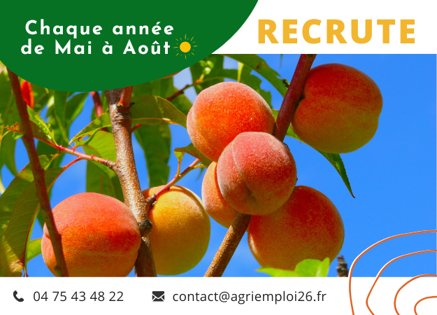 Photo de l'actualité MAI - AOUT Ouvriers arboricoles - Drôme entière (26)