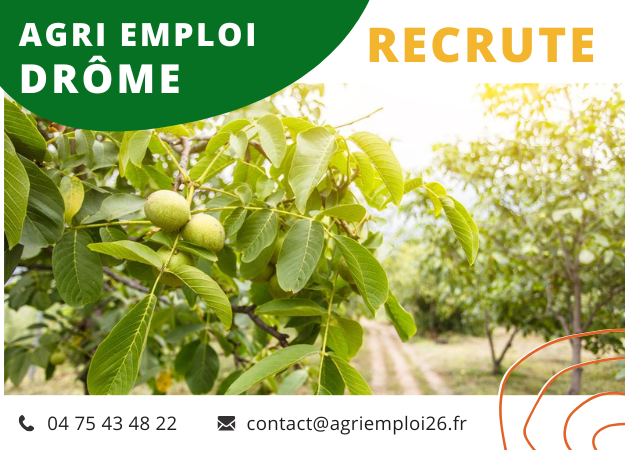 Photo de l'actualit Ouvrier agricole polyvalent H/F - ST PAUL LES ROMANS (26)