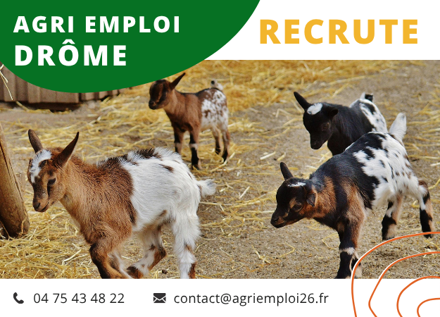 Photo de l'actualit� Agent d'�levage caprin H/F- ECLASSAN (07370) 