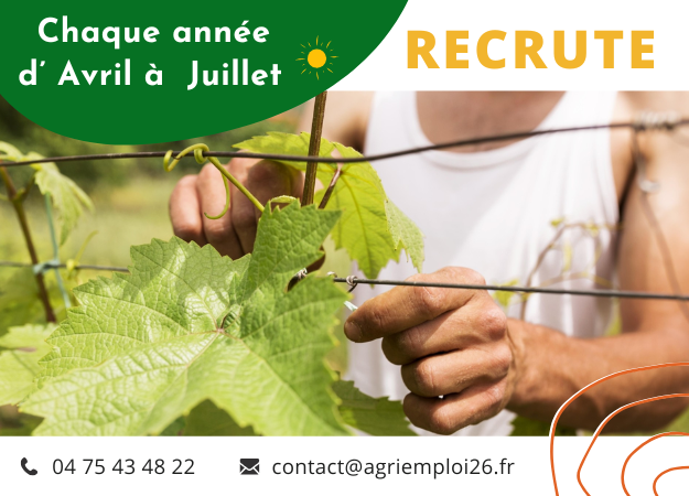 Photo de l'actualité AVRIL- JUILLET Travaux en vert - Drôme & Ardèche (07)
